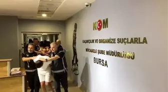 Bursa'da Suç Örgütüne Ağır Darbe: 11 Gözaltı