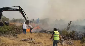 Mardin'de Orman Yangını Kontrol Altına Alındı