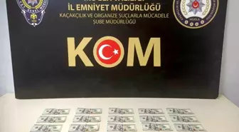 Muğla'da Piyasaya Sahte Dolar Süren Şahıs Yakalandı