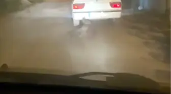 Tokat'ta Yaban Domuzu Sürükleyen Sürücü Kameralara Yakalandı