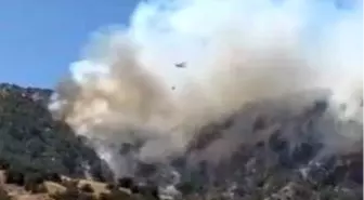 Denizli'deki Orman Yangını Buldan'ı Tehdit Ediyor