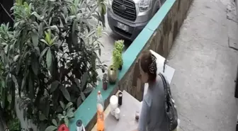 Samsun'da Çiçekçide 14 Kez Hırsızlık Yapan Kadın Yakalandı