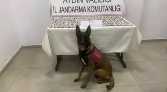 Aydın'da Jandarmadan Sentetik Hap Operasyonu
