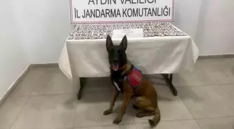 Aydın'da Uyuşturucu Operasyonu: 1.383 Hap Ele Geçirildi
