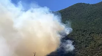 Bartın'da Orman Yangını Büyüyor