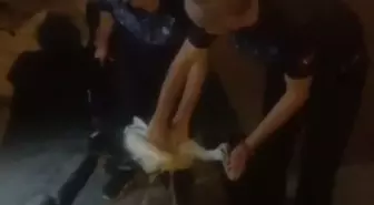 Reyhanlı'da Yaralı Leylek Tedavi Altına Alındı