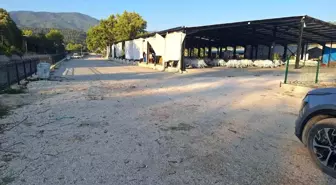 Bolu'da Alacak Verecek Meselesi Kanlı Bitti: 1 Yaralı, 1 Tutuklu