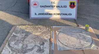 Gaziantep'te Tarihi Mozaikler Ele Geçirildi