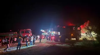 Sakarya'nın Geyve İlçesinde Orman Yangını