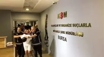 Golani Suç Örgütüne Operasyon: Tutuklu Sayısı 10'a Çıktı