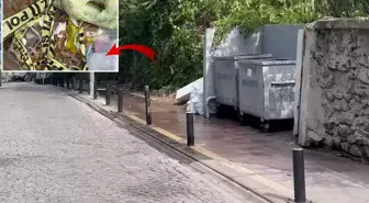 İstanbul'da çöpte yanmış bebek cesedi bulundu