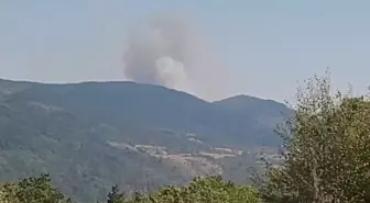 Karabük'te Orman Yangını Çıktı