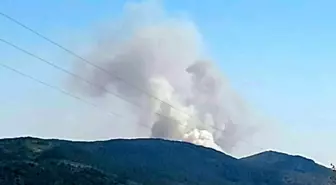 Karabük'te Orman Yangını: Eflani ve Safranbolu Arasında Müdahale Başladı