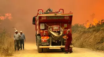 Karabük'te Orman Yangını, Ekipler Mücadele Ediyor