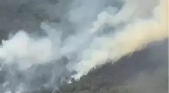 Bartın'da Orman Yangını