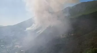 Küre Dağları'nda Orman Yangınına Hava ve Karada Müdahale Devam Ediyor