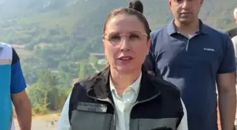 Bartın'daki Orman Yangınına Müdahale Ediliyor