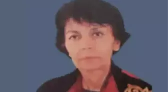 Şişli'de Prof. Dr. Tahire Başerer Evinde Ölü Bulundu