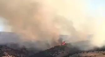 Sivas'ta Çıkan Yangın Rüzgarla Büyüdü