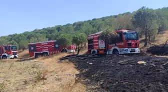 Balıkesir'de Orman Yangını Kontrol Altına Alındı