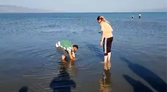 İznik Gölü'nde Tarihi Sütun Başlıkları Bulundu