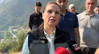 Bartın'da Yangın: Vali Arslan Açıklamalarda Bulundu