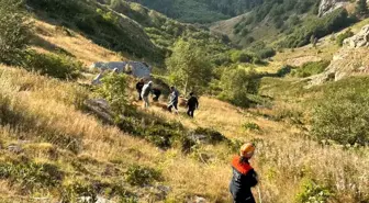 Artvin'de Düşen İnek, AFAD Ekipleri Tarafından Kurtarıldı