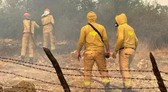 Kastamonu'da Orman Yangını: 3 Ev Yandı, Müdahale Devam Ediyor