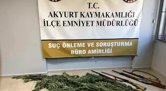 Ankara'da Uyuşturucu Operasyonu: Hint Keneviri ve Ruhsatsız Tüfekler Ele Geçirildi