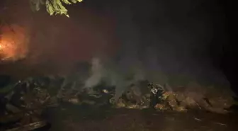 Denizli'deki Yangın Kontrol Altına Alındı