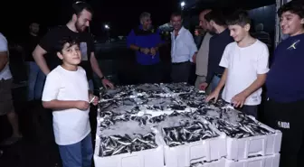Balık Avı Sezonu Başladı, İlk Gün Verimi Düşük