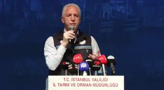 Balıkçılık Genel Av Sezonu İstanbul'da Başladı