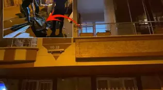 Balkonda dehşete düşüren manzara: Görenler telefona sarıldı