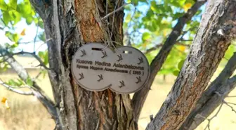 Beslan'da Hayatını Kaybeden Çocuklar Anıldı