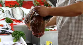 Çarşamba'da Av Yasağının Sona Ermesiyle Balıkçı Tezgahları Şenlendi