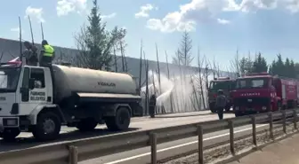 Sakarya'da Ağaç Yangını Trafiği Değiştirdi