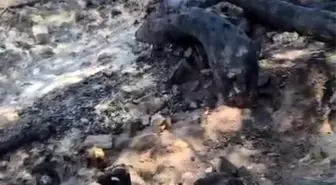 Denizli'deki Yangın 5. Günde Kontrol Altına Alınmaya Çalışılıyor