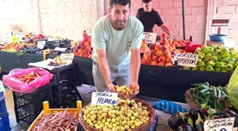 Kütahya'da 'Doktor Hünnap' Pazar Tezgahlarında