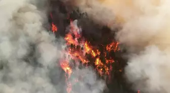Karabük'te devam eden orman yangının çıkış nedeni belli oldu