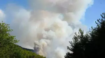 Kastamonu'da Orman Yangını: 6 Köy Tahliye Edildi