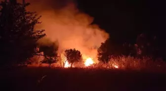 Kuşadası'nda Park Halindeki Araçta Yangın Çıktı