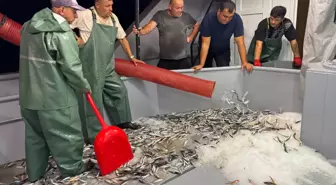 Balıkçılar Av Yasaklarının Sona Ermesiyle Denize Açıldı