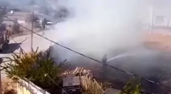 Darıca'da Otluk Alanda Yangın Paniği
