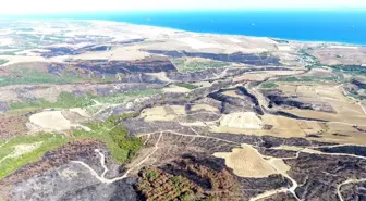 Şarköy'deki Orman Yangınında Temizlik Çalışmaları Başlatıldı