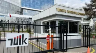 TÜİK'ten 2024 Yılı GSYH Verileri: %3,3 Artış