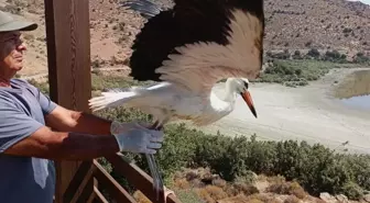 Kuşadası'nda Koruma Altındaki Yavru Leylek Doğaya Salındı