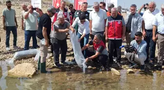 Adıyaman'da Su Kaynaklarına Balıklandırma Çalışmaları Devam Ediyor