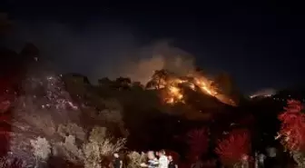 Aydın'daki Zeytinlik Yangını Kontrol Altına Alındı