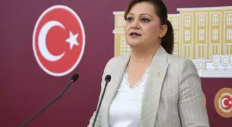 Burcu Köksal'ın yargılandığı 'böcek' davası hakkında karar verildi
