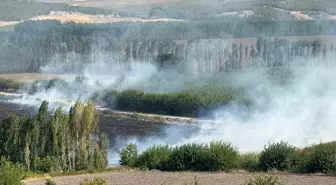 Diyarbakır'da Hevsel Bahçelerinde Anız Yangını